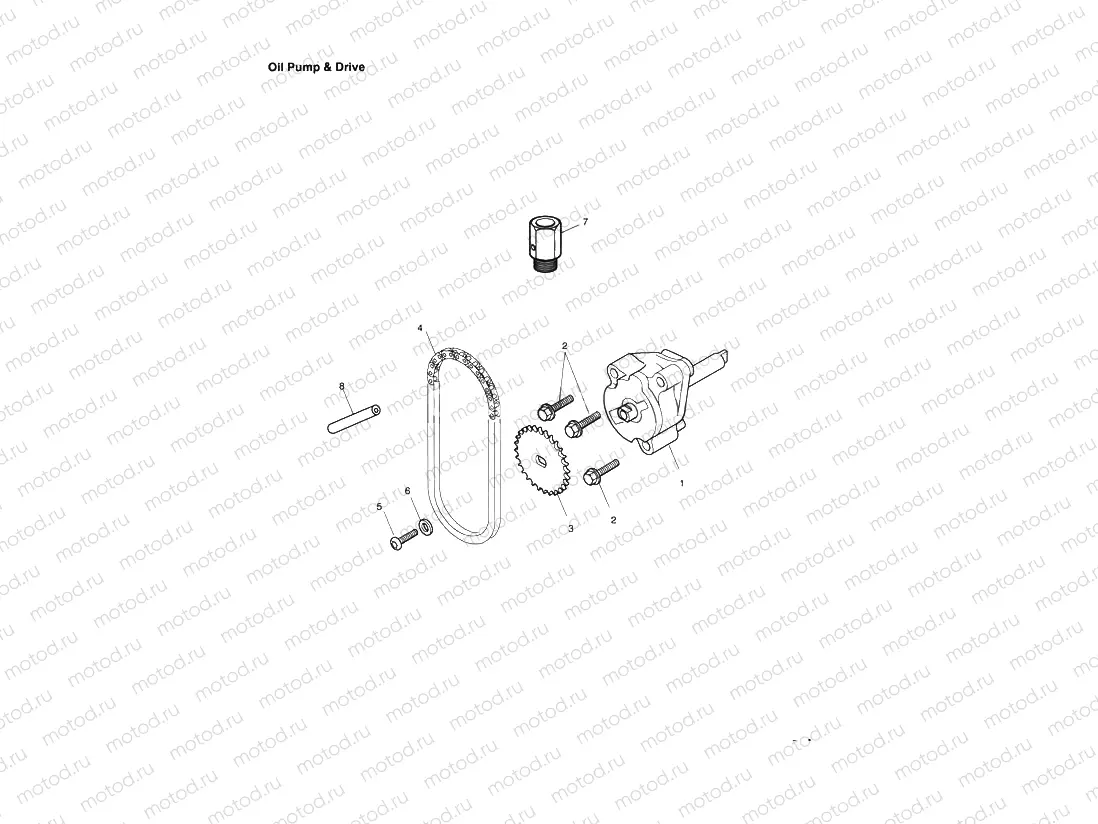Oil Pump/Drive