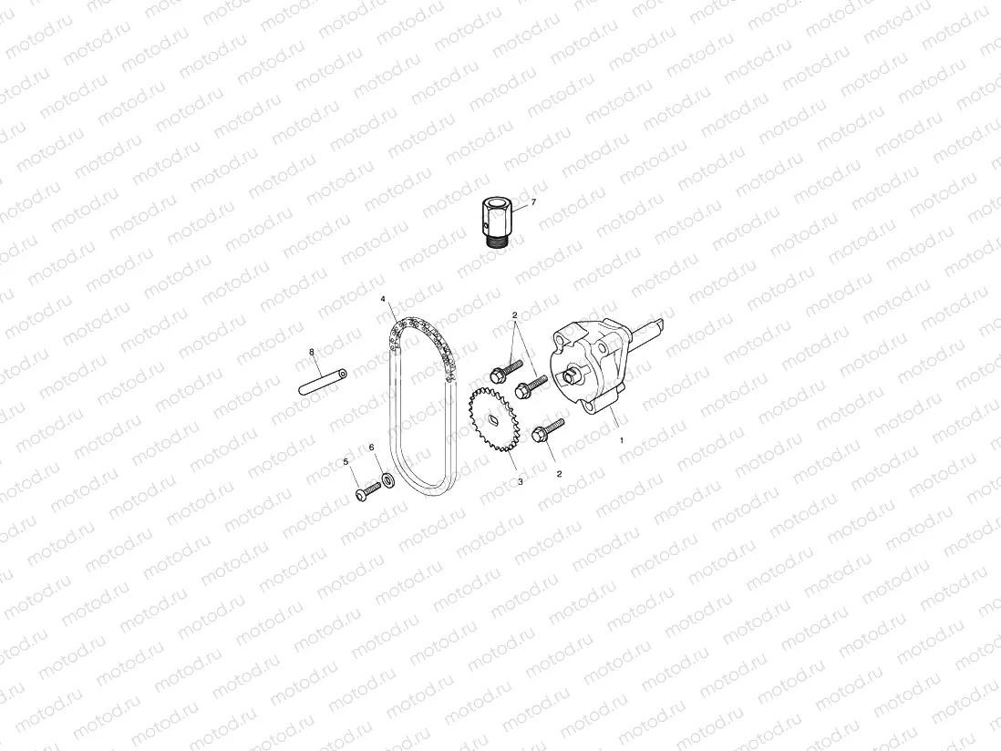 Oil Pump/Drive