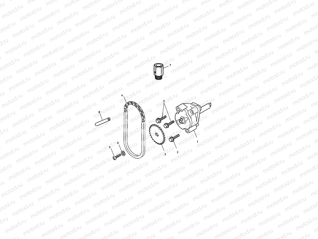 Oil Pump/Drive