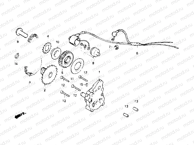 Oil pump/Oil pressure switch
