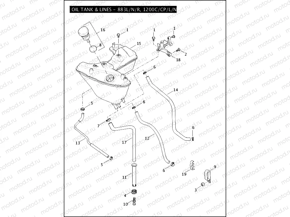 OIL TANK & LINES - 883L/N/R, 1200C/CP/L/N/X