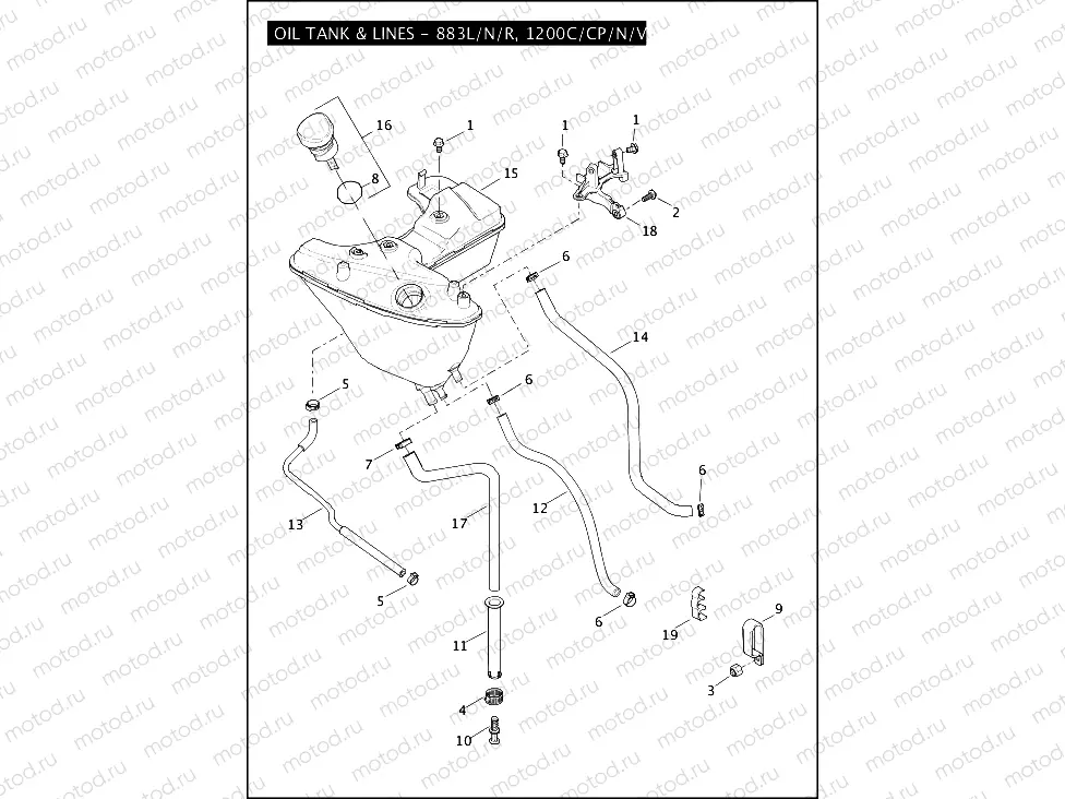 OIL TANK & LINES - 883L/N/R, 1200C/CP/N/V/X