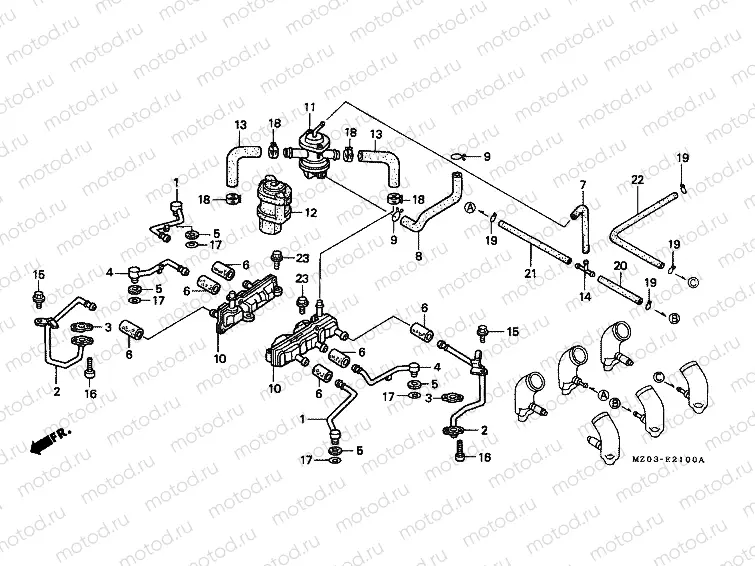 PIPELINE E-21 (AR / CM / SW)