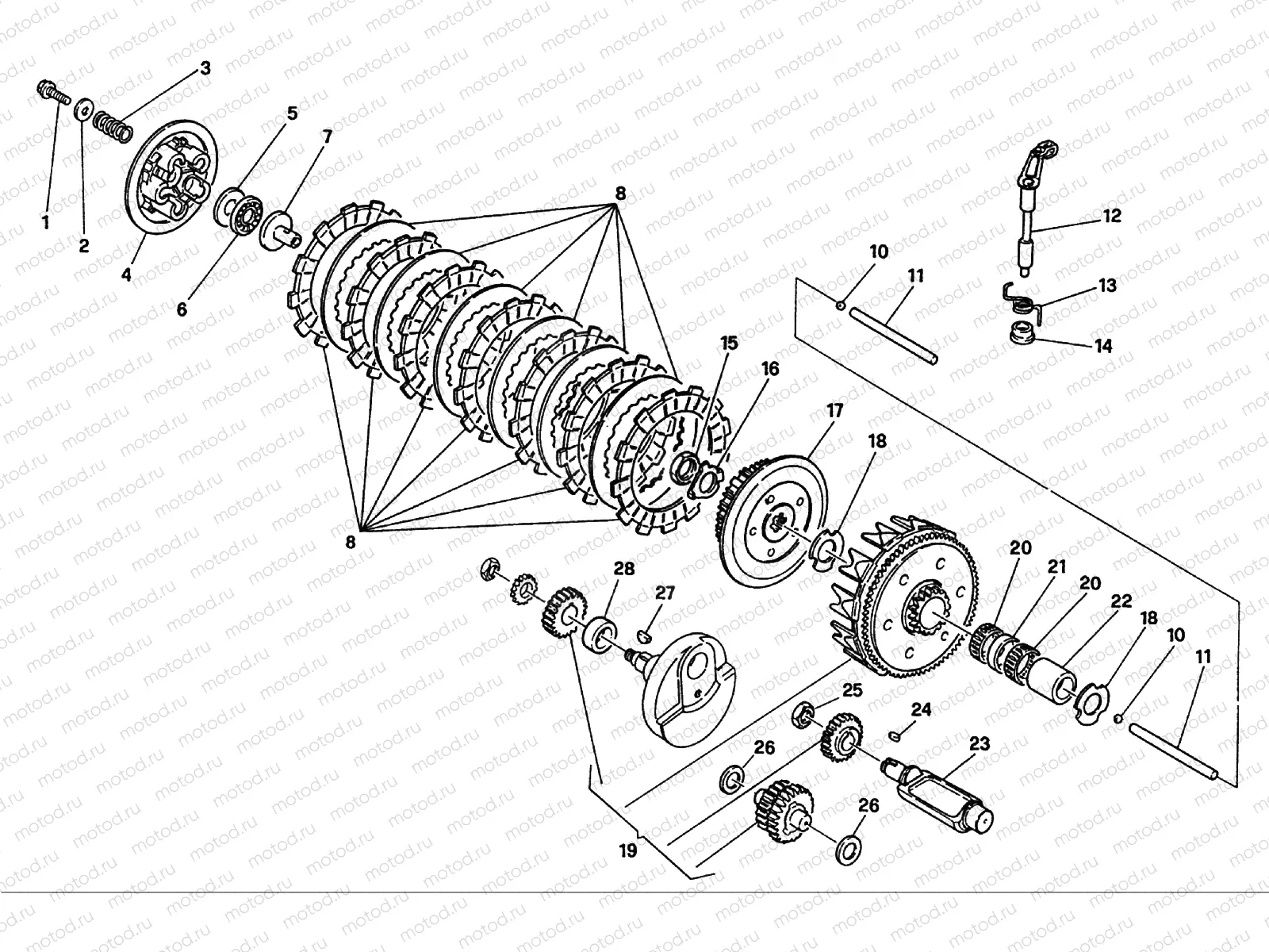 PRIMARY DRIVE - CLUTCH