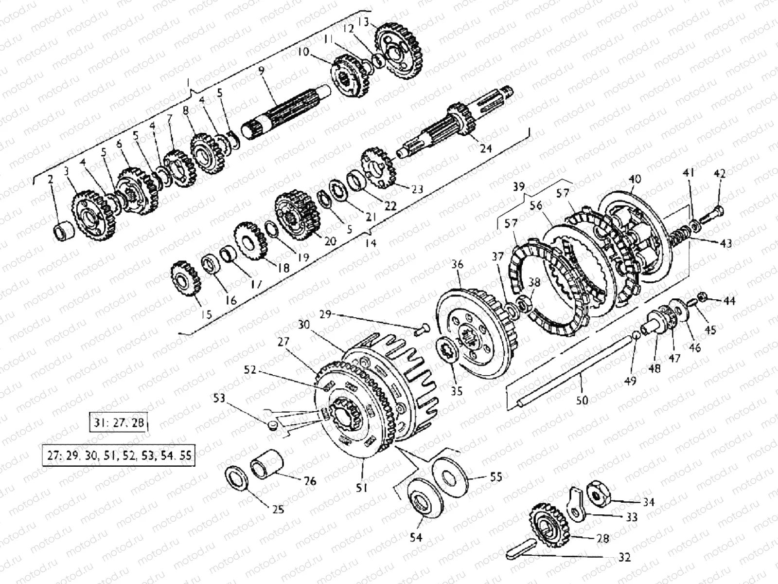 PRIMARY DRIVE - CLUTCH