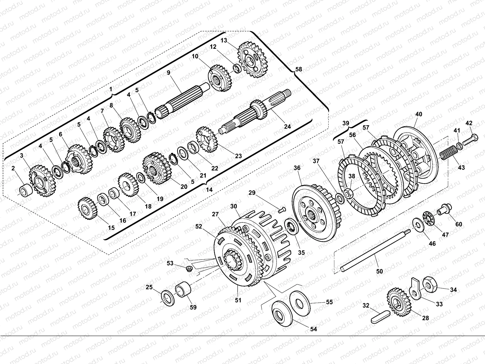 PRIMARY DRIVE - CLUTCH