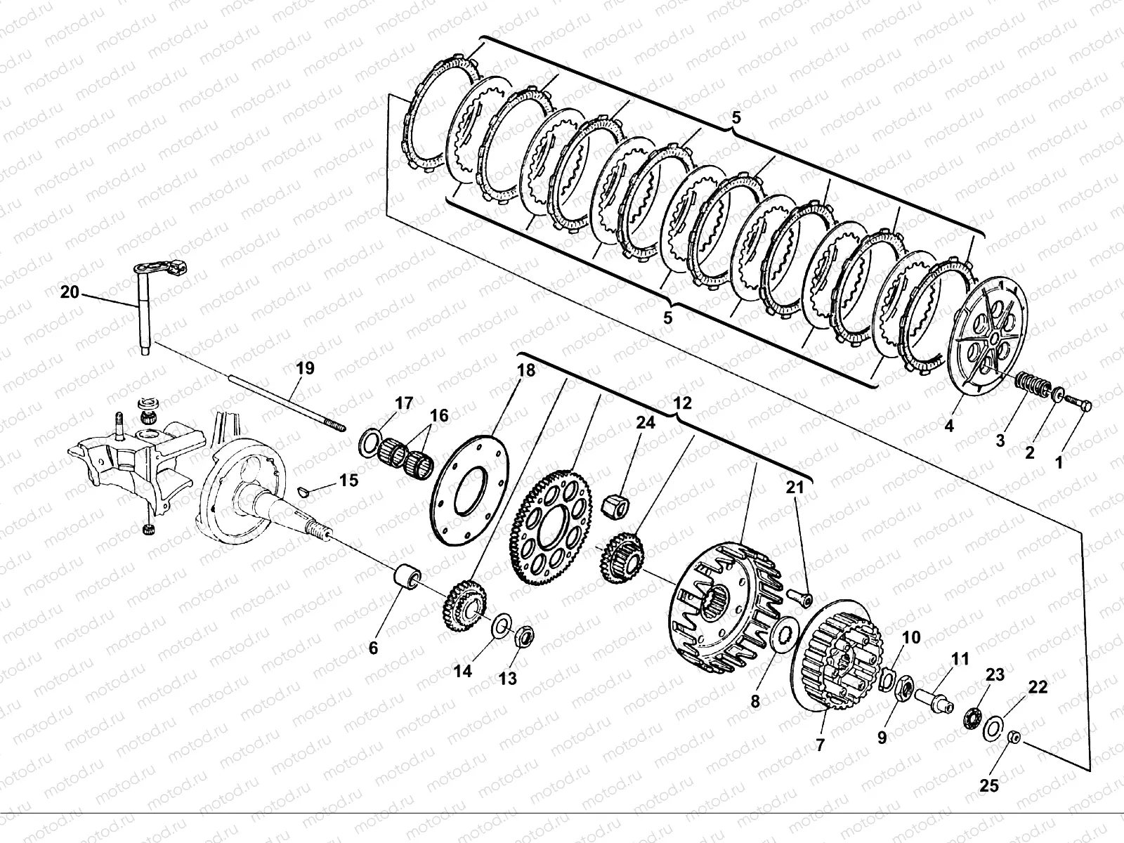 PRIMARY DRIVE - CLUTCH