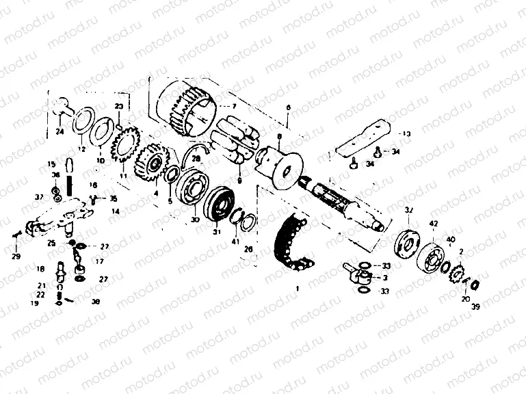 Primary shaft