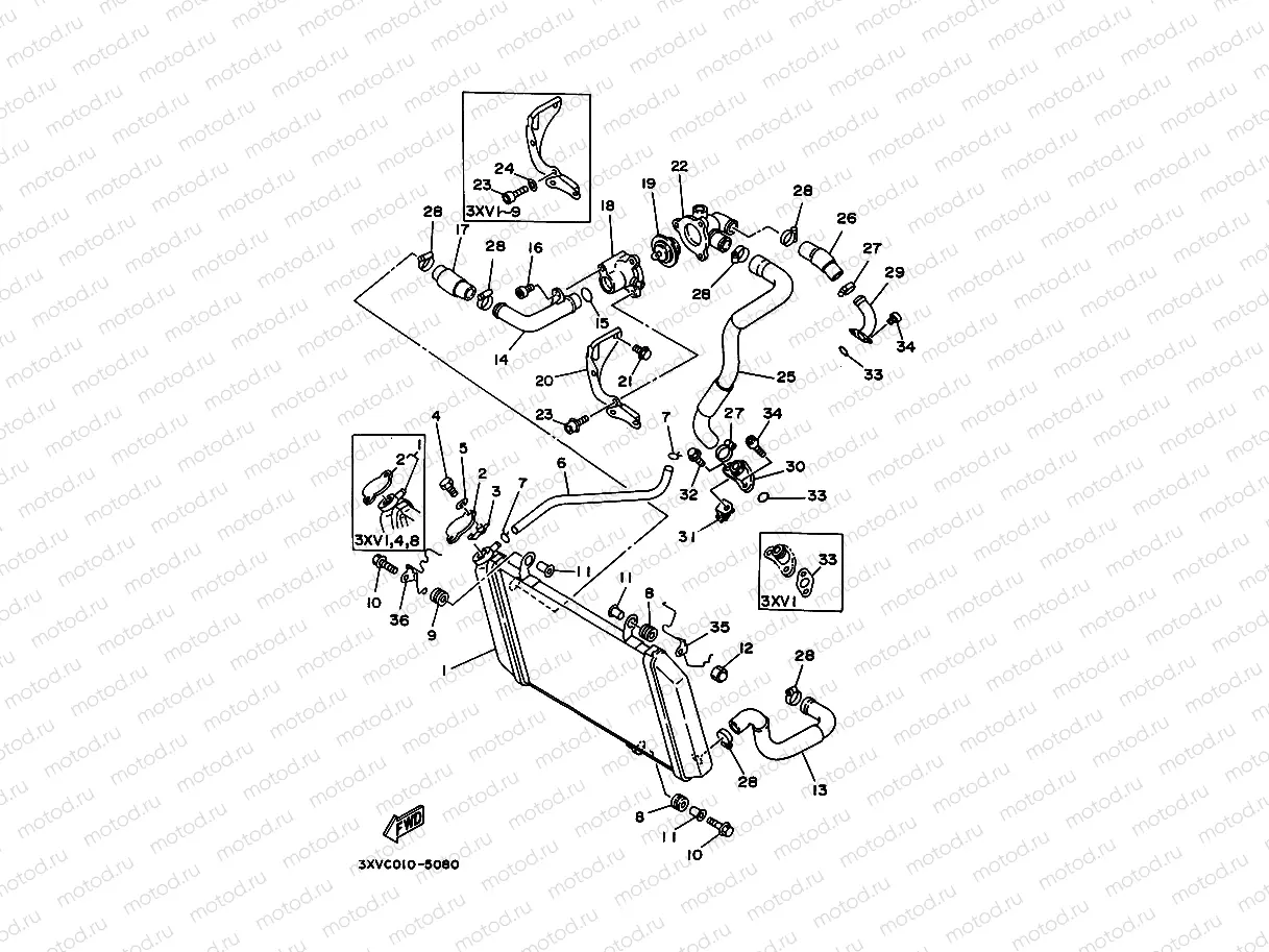 Radiator. Hose 1 (R / RS model)