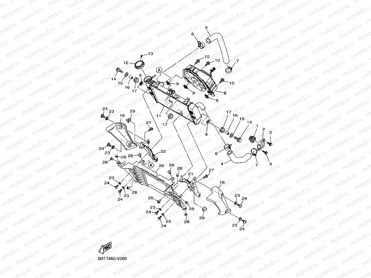 RADIATOR & HOSE