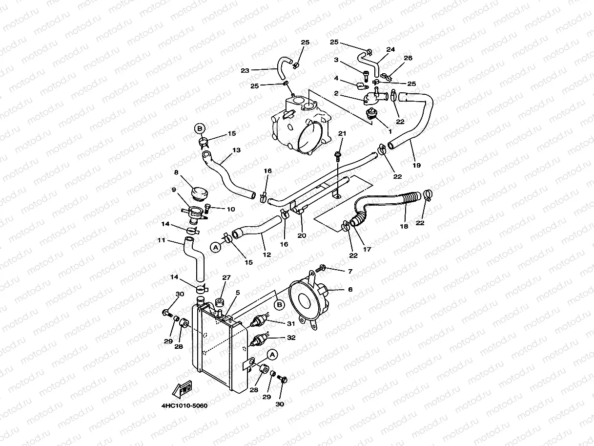 Radiator. Hose