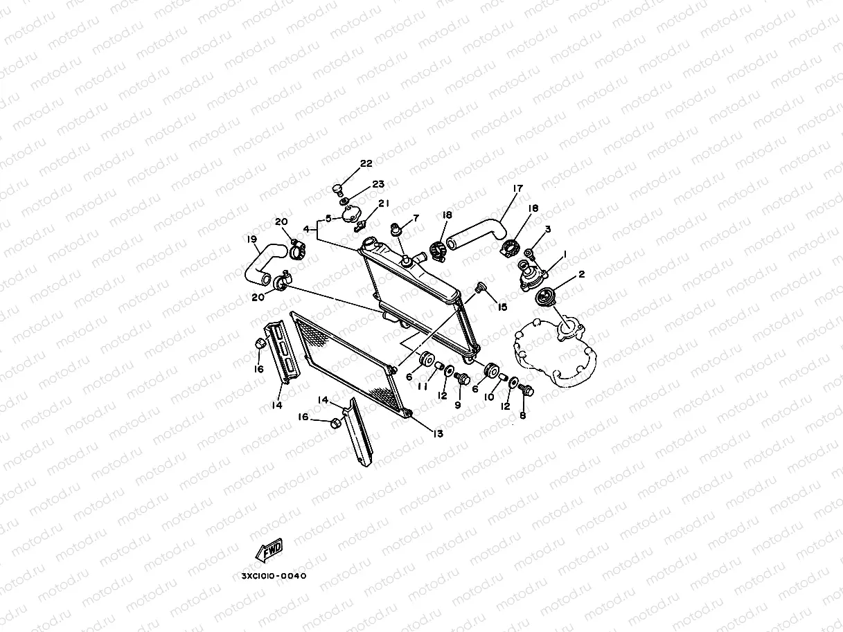 Radiator. Hose