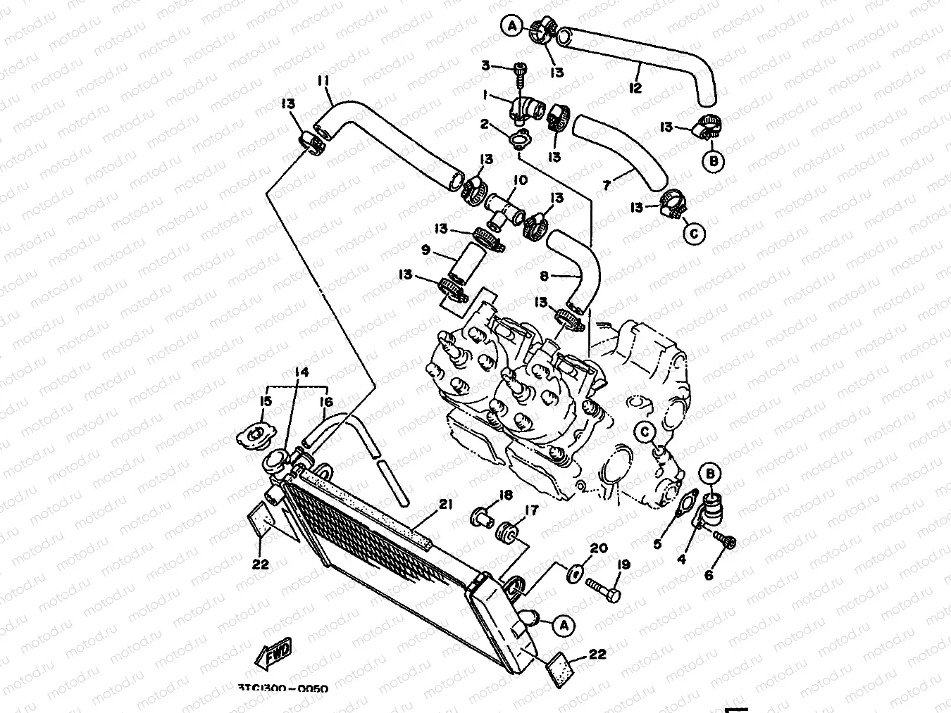 RADIATOR & HOSE