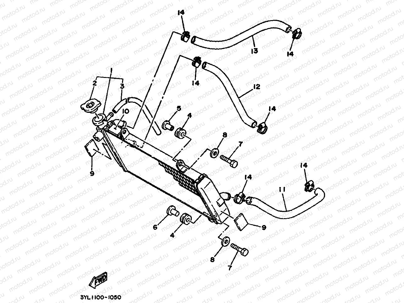 RADIATOR & HOSE