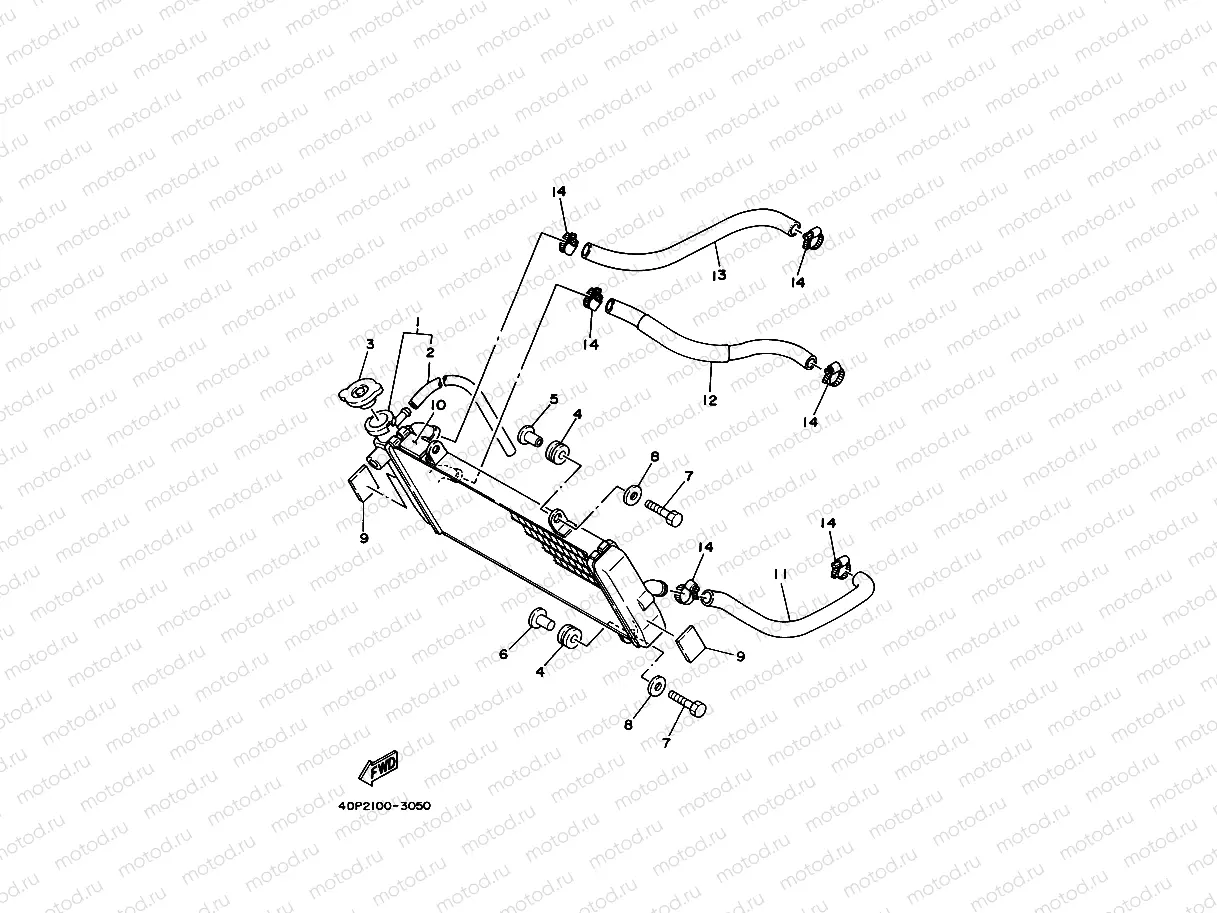 RADIATOR & HOSE