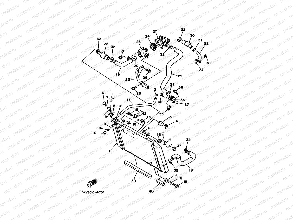 Radiator. Hose