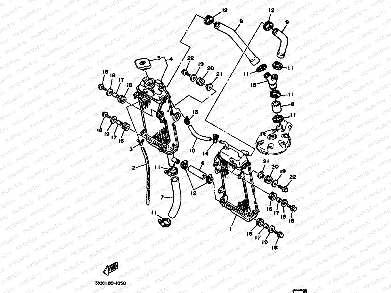 RADIATOR & HOSE
