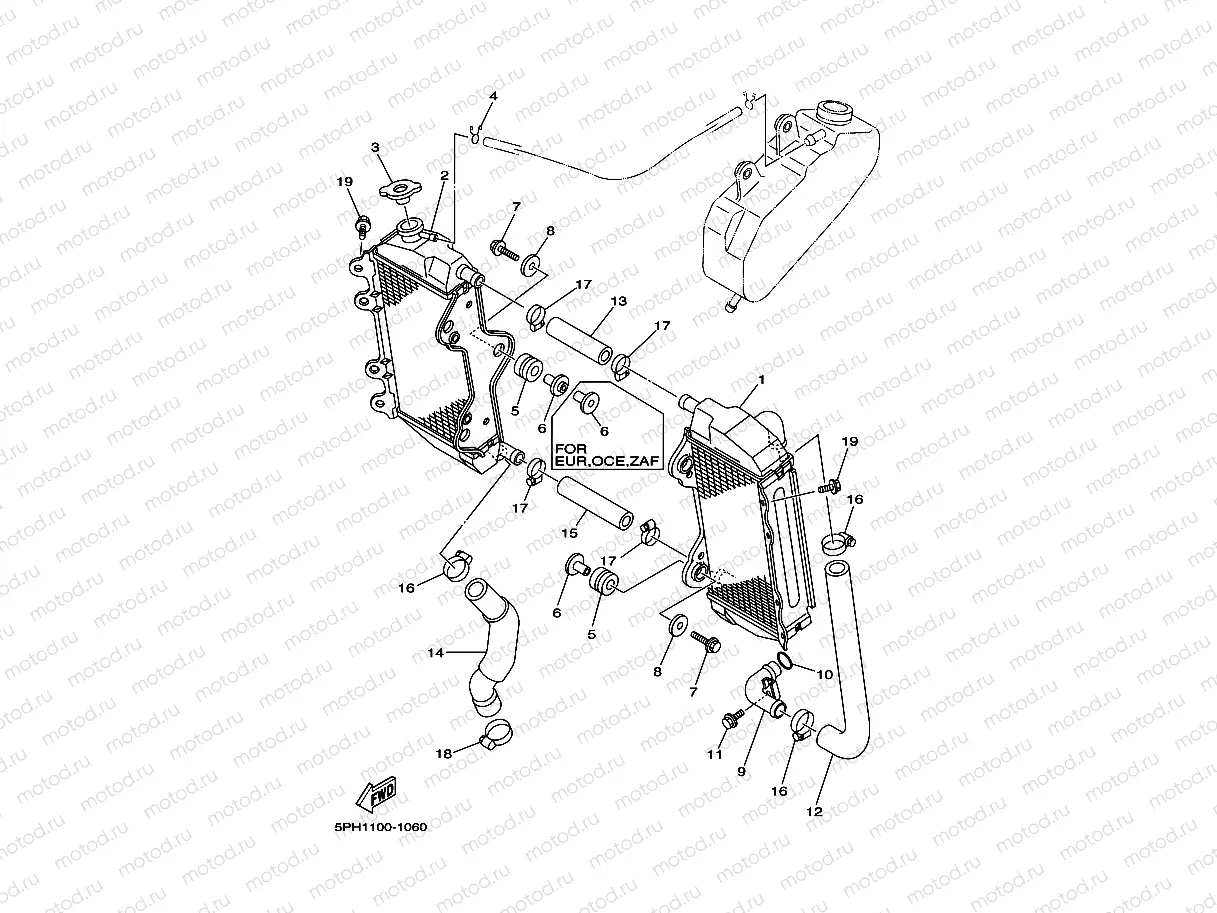 RADIATOR & HOSE