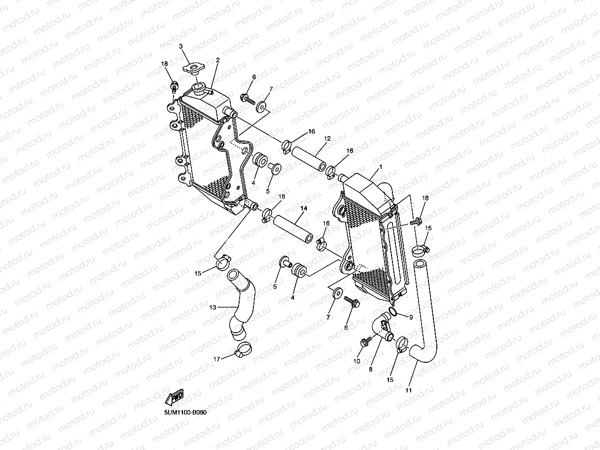RADIATOR & HOSE