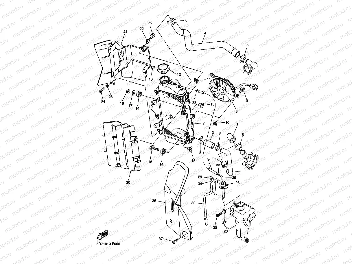 RADIATOR & HOSE