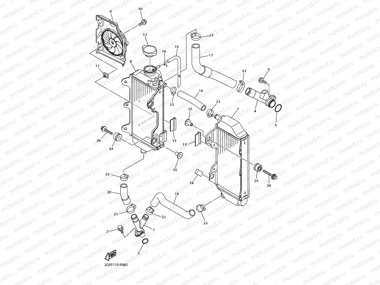 RADIATOR & HOSE