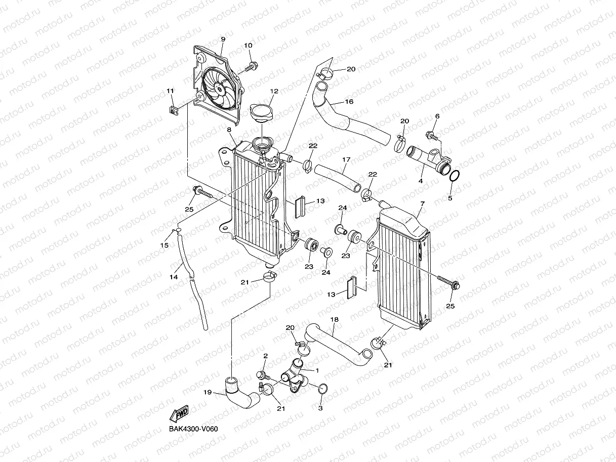 RADIATOR & HOSE