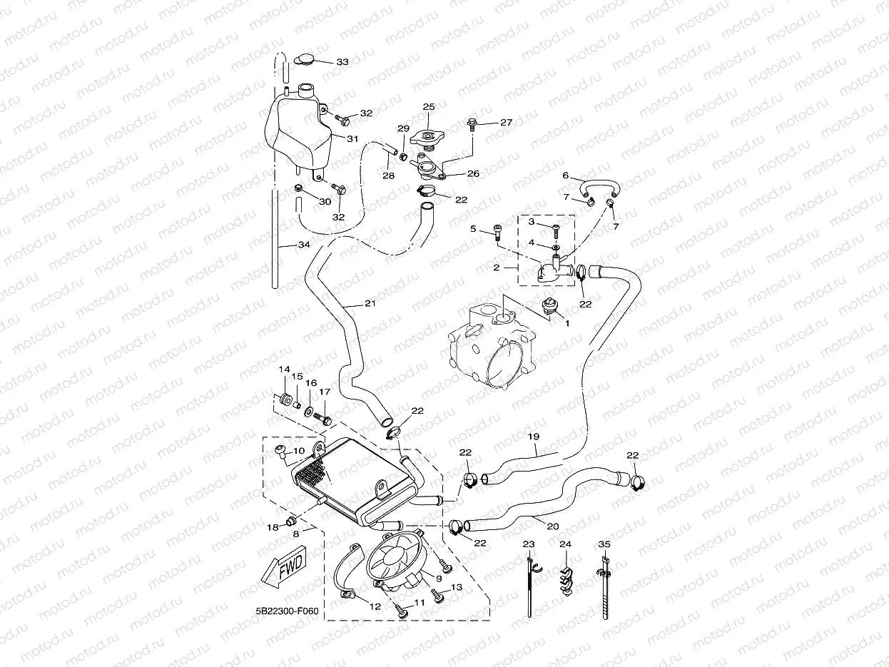 RADIATOR & HOSE