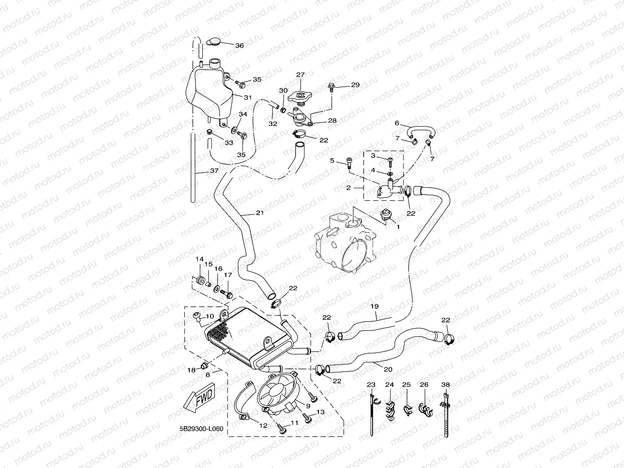 RADIATOR & HOSE