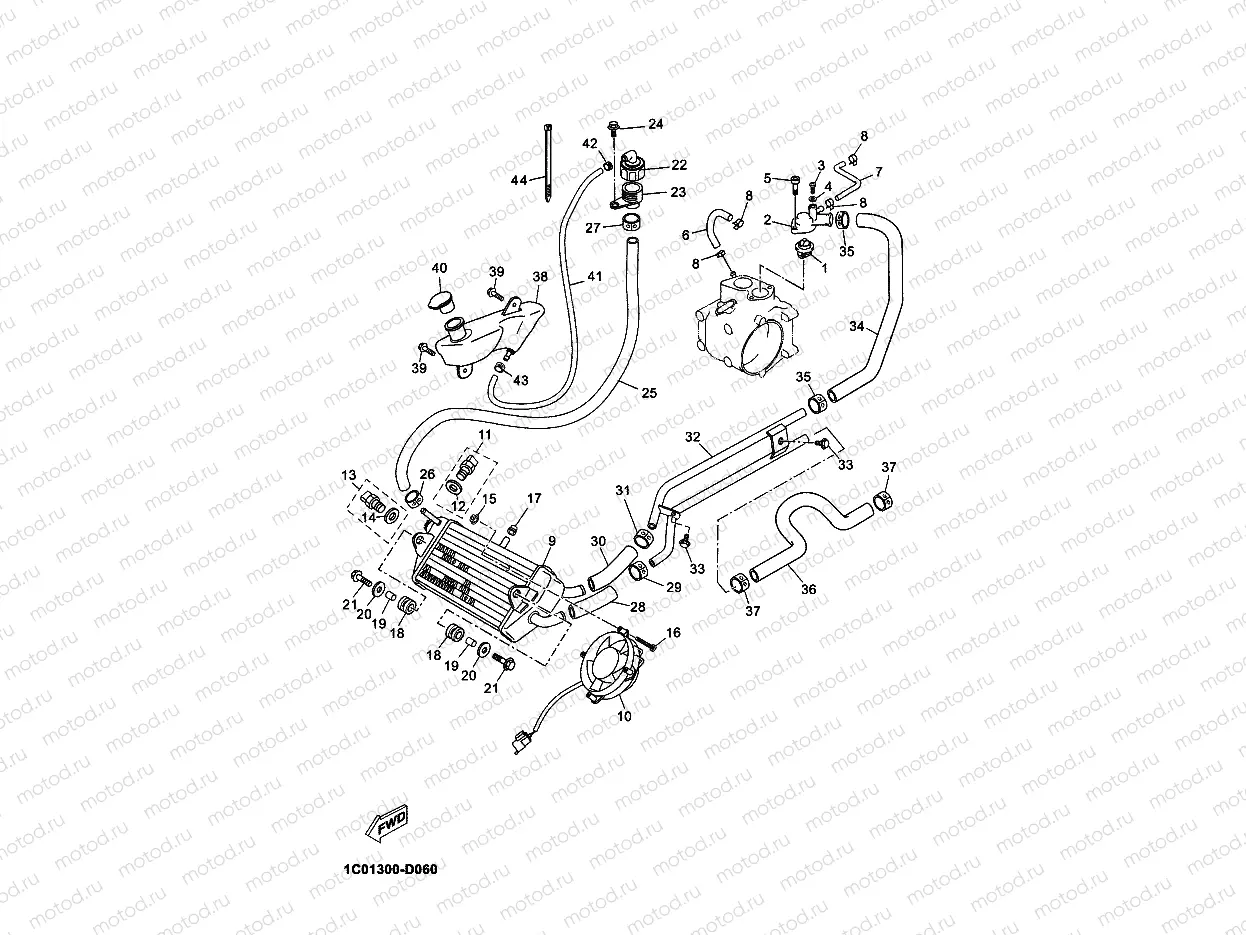 RADIATOR & HOSE