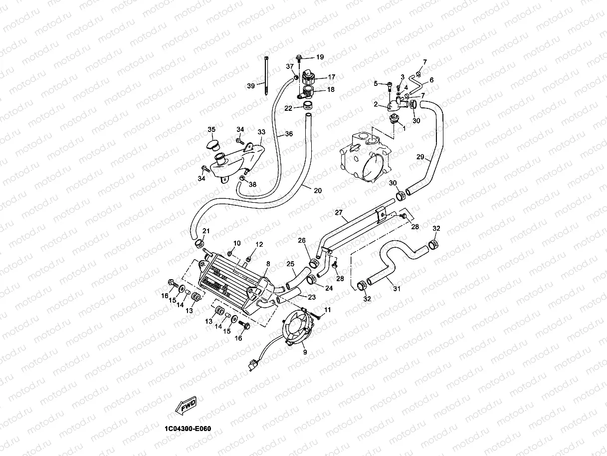 RADIATOR & HOSE