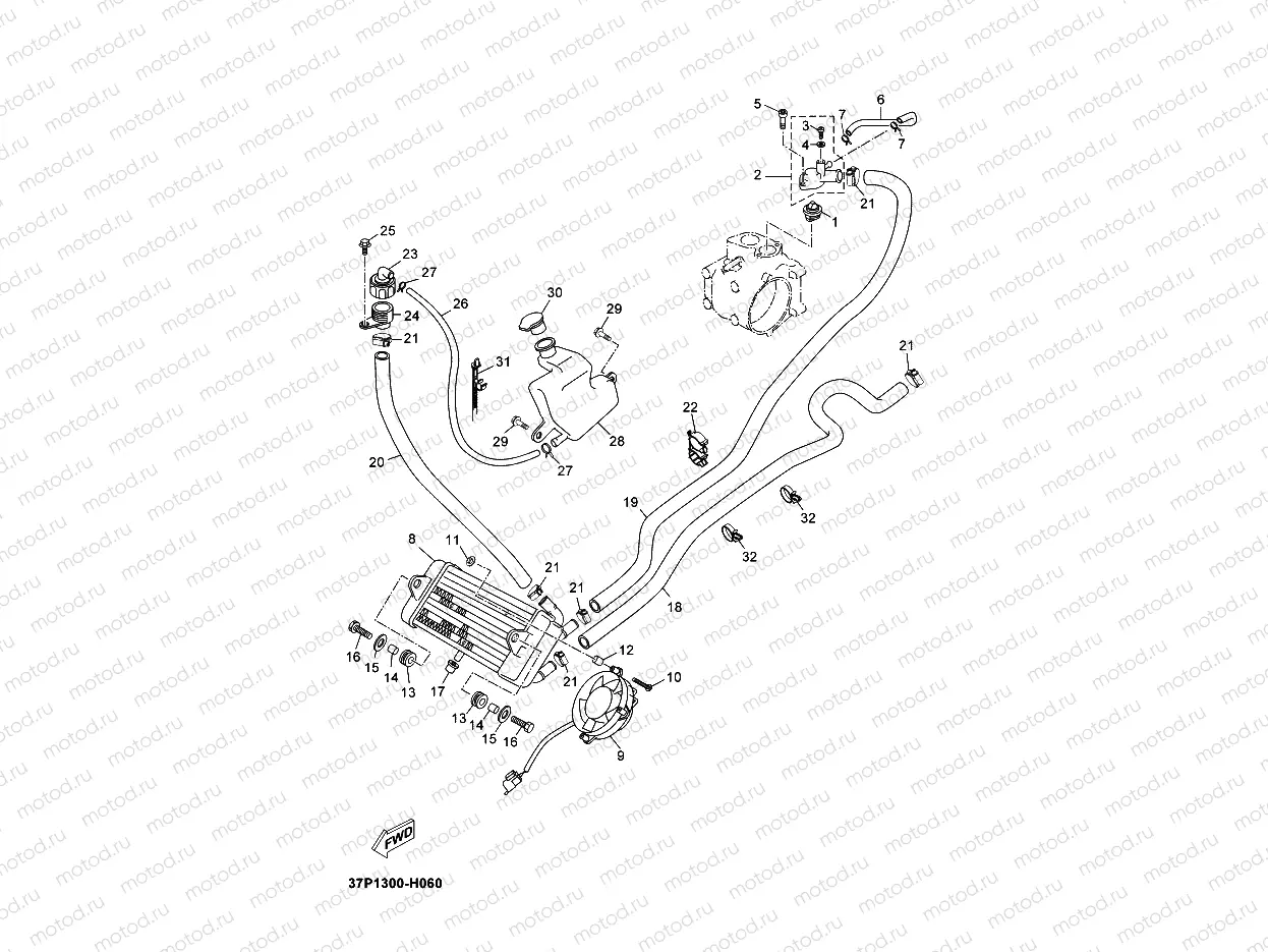 RADIATOR & HOSE