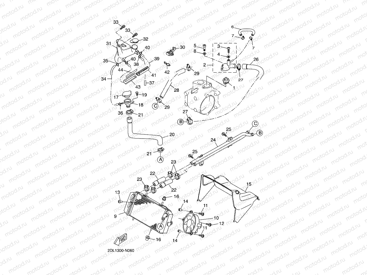 RADIATOR & HOSE