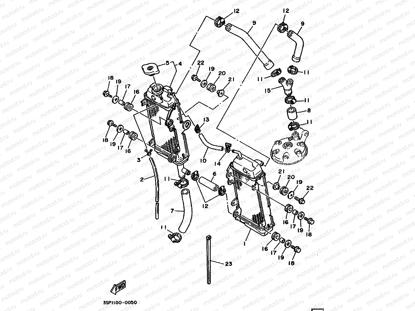 RADIATOR & HOSE