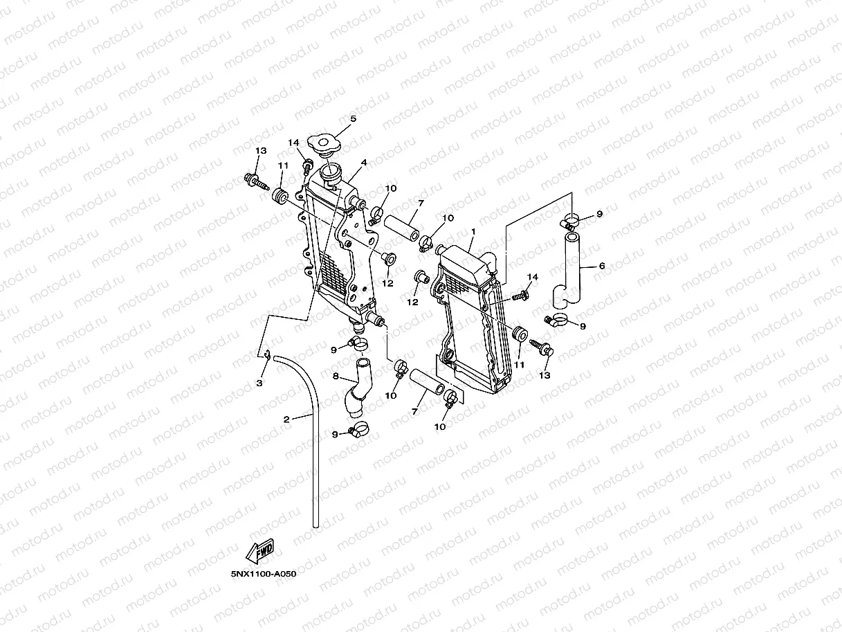 RADIATOR & HOSE