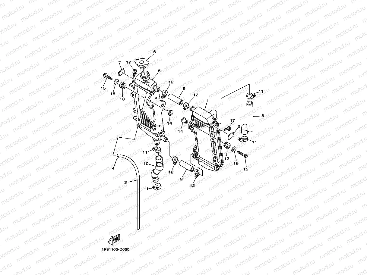 RADIATOR & HOSE
