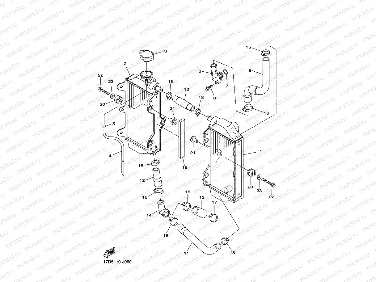 RADIATOR & HOSE