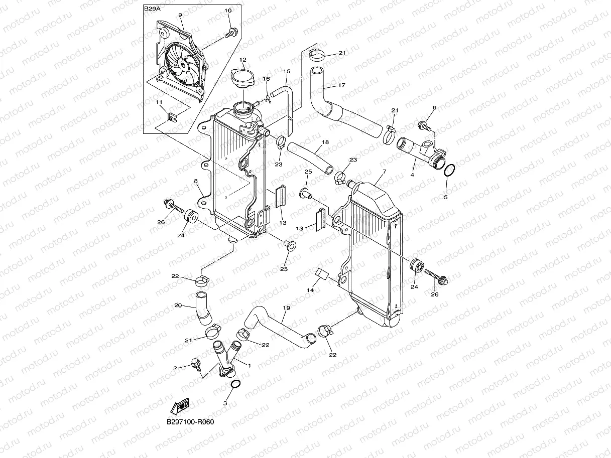 RADIATOR & HOSE