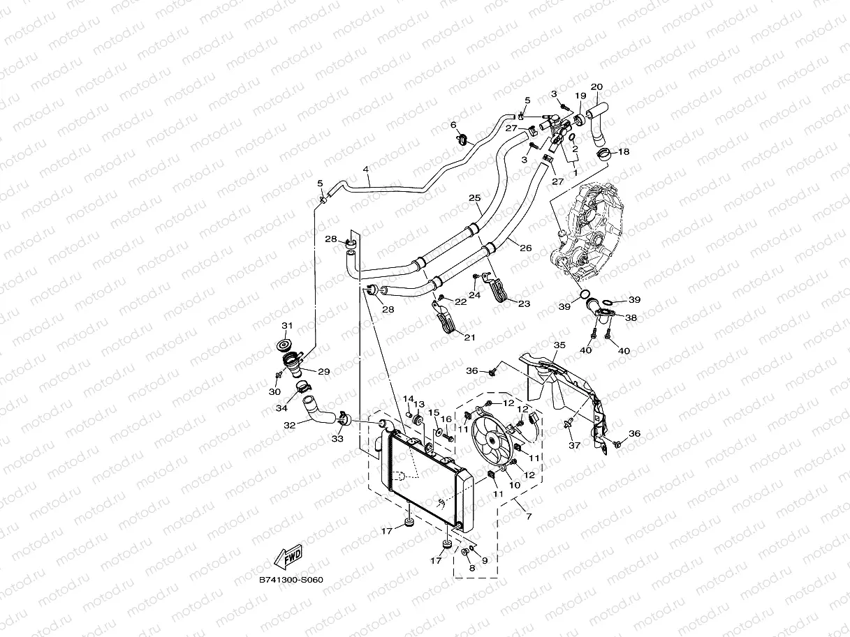RADIATOR & HOSE