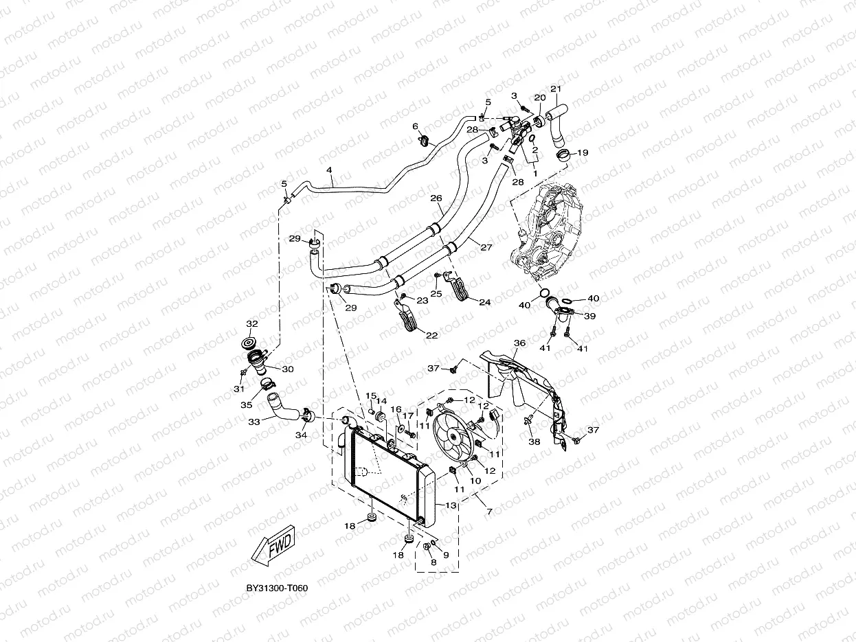 RADIATOR & HOSE
