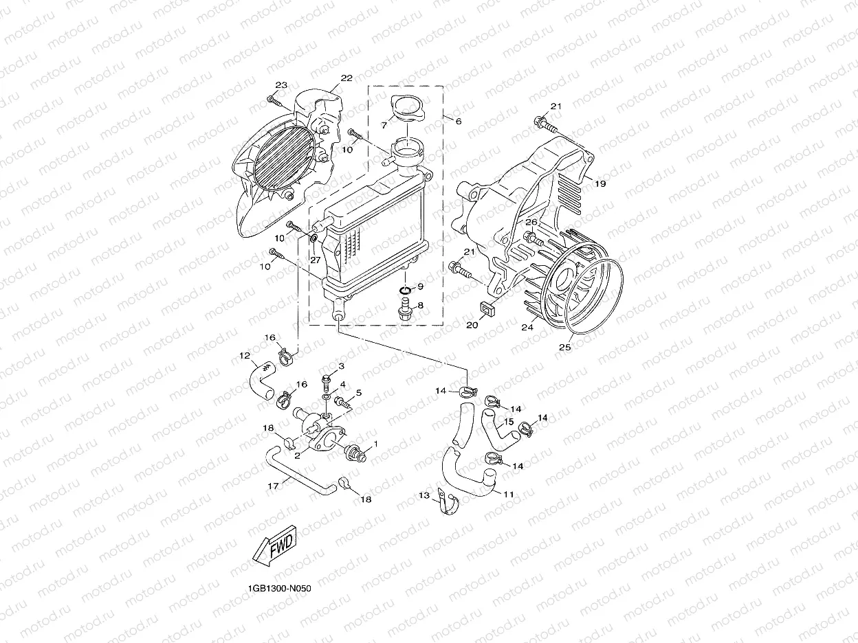 RADIATOR & HOSE