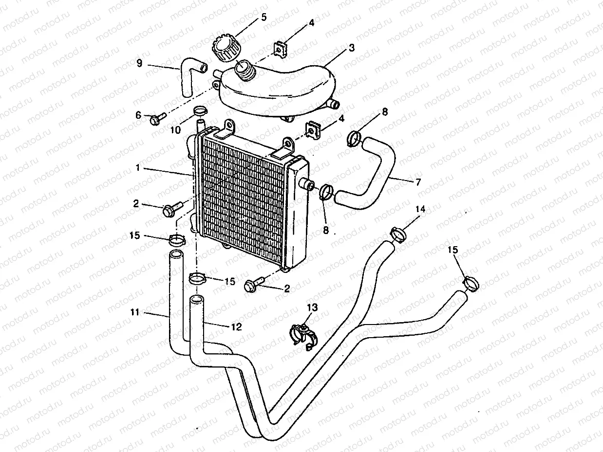 RADIATOR & HOSE