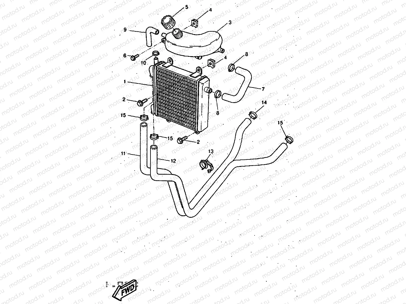 RADIATOR & HOSE