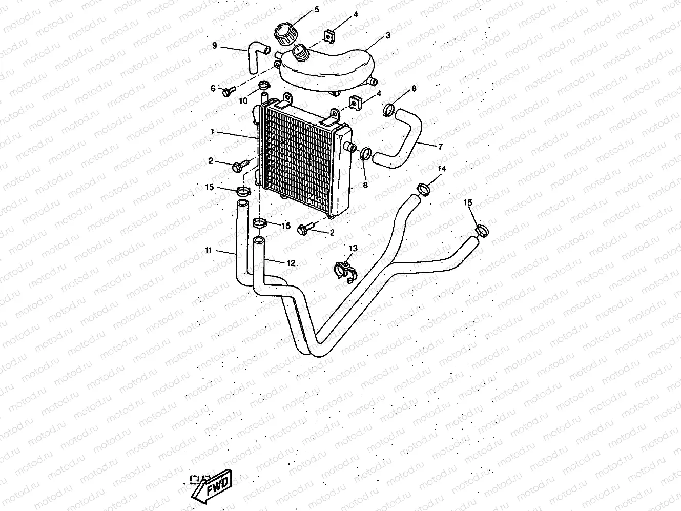 RADIATOR & HOSE