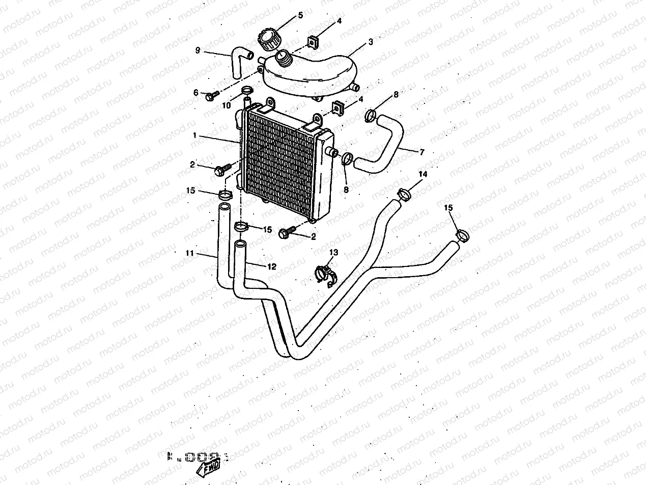 RADIATOR & HOSE