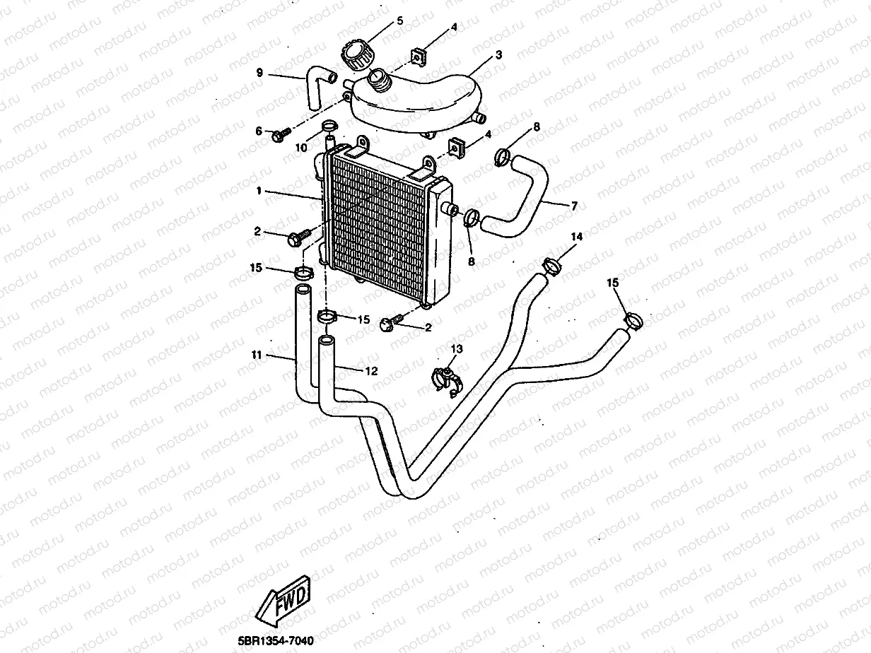 RADIATOR & HOSE