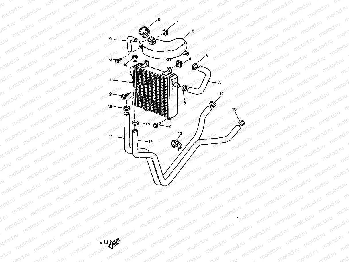 RADIATOR & HOSE
