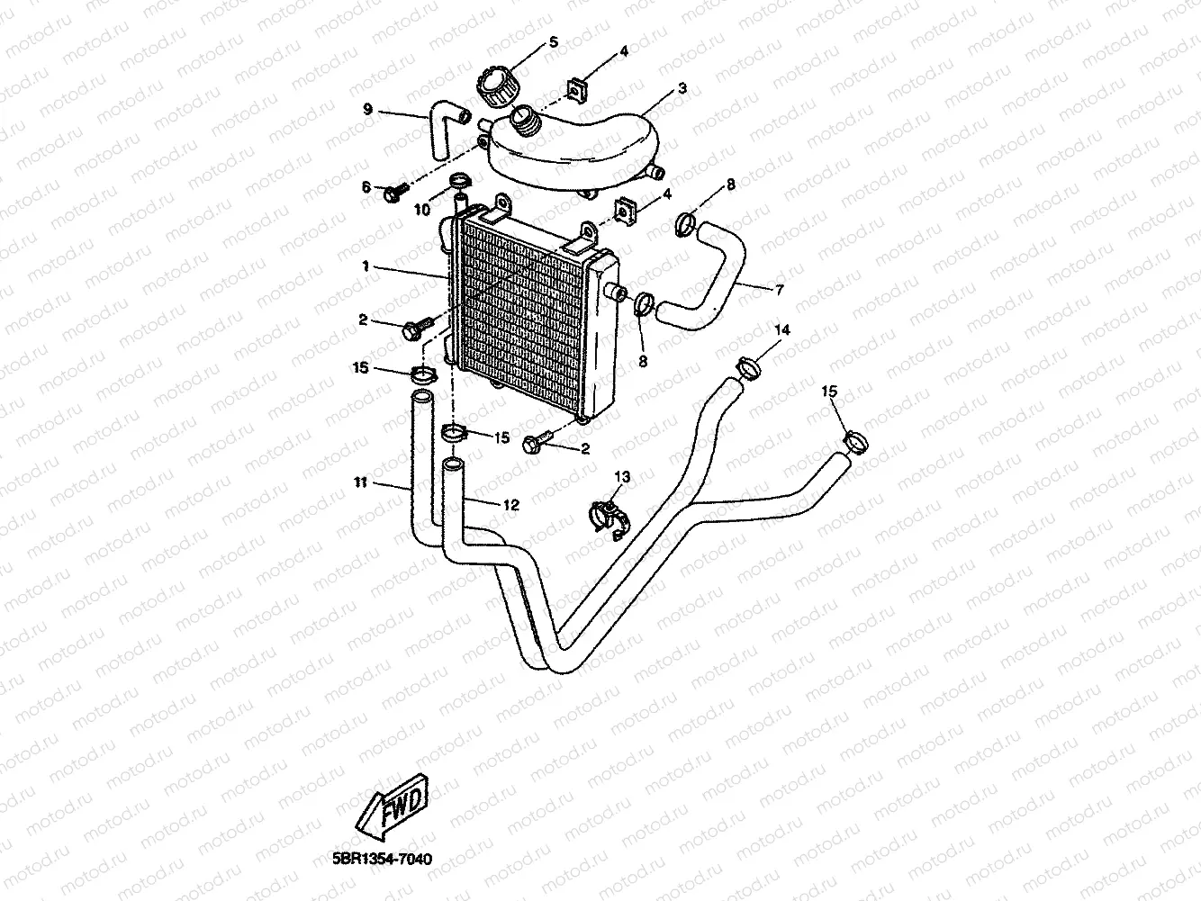 RADIATOR & HOSE