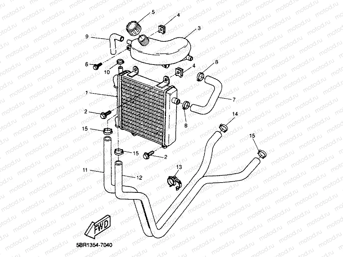 RADIATOR & HOSE