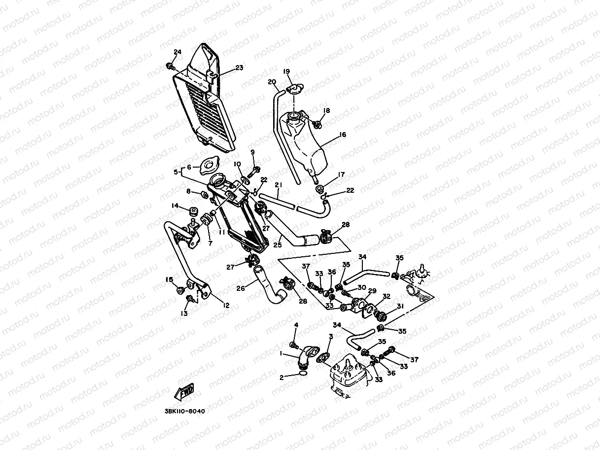 Radiator. Hose