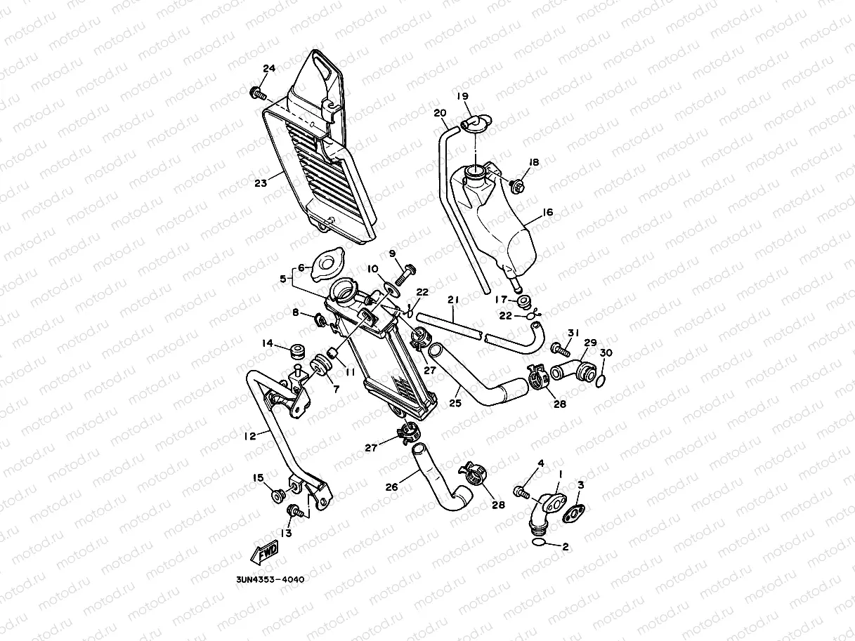 RADIATOR & HOSE